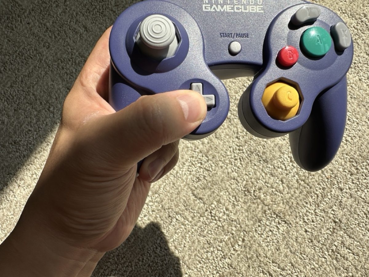 Switch2 GCN Controller 8781 Large