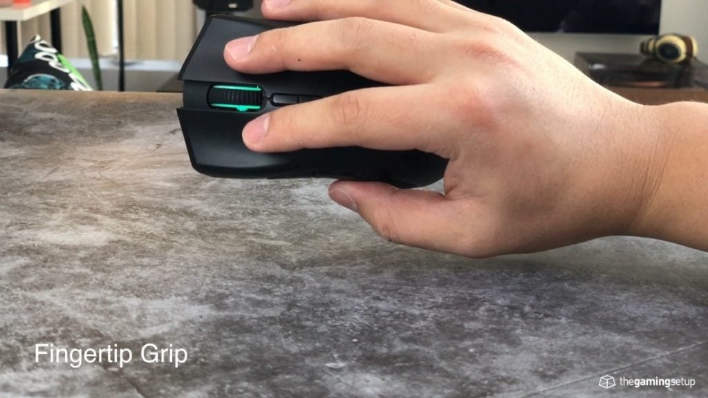 Example of fingertip grip top view